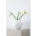 Cooee Design Ball Vase Weiß 30cm