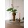 Cooee Design Tablett Sand 400x20  mm