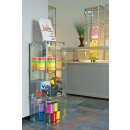 Glassteckvitrine mit Rückwand Fachgröße 40 x 40 cm
